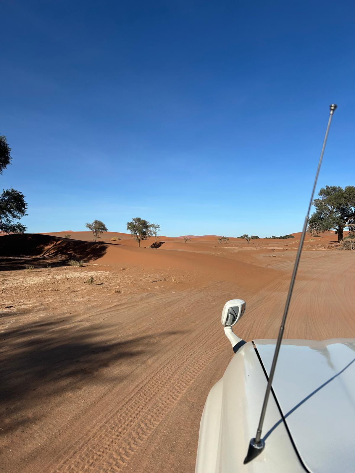 Sossusvlei — Dune 45 and Big Daddy