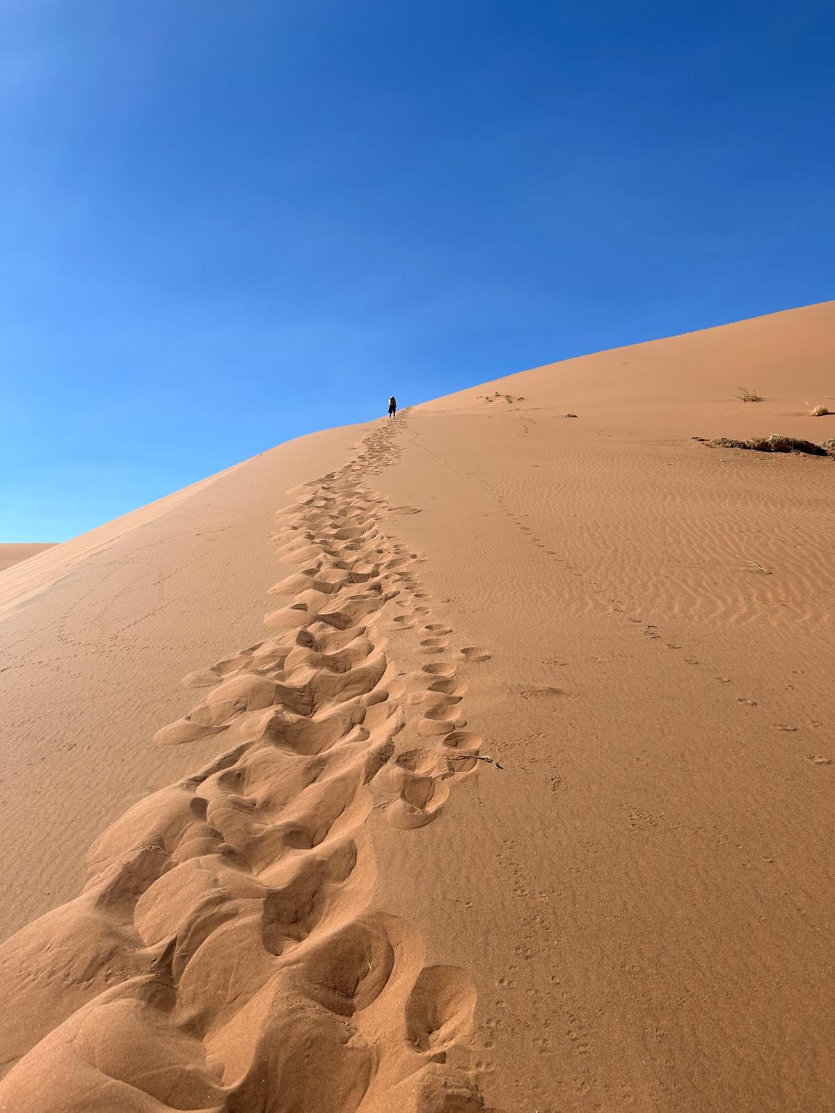 Sossusvlei — Dune 45 and Big Daddy