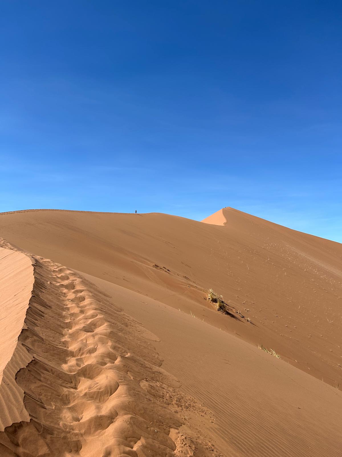 Sossusvlei — Dune 45 and Big Daddy