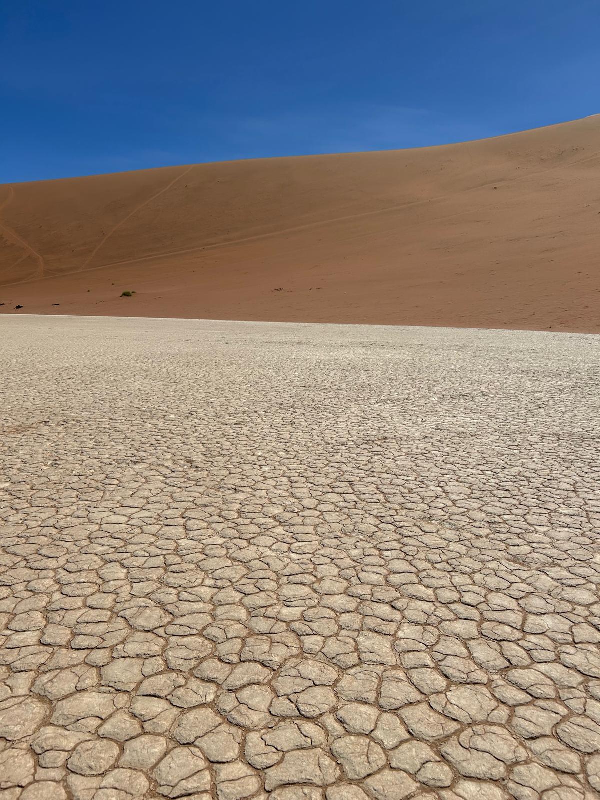 Sossusvlei — Dune 45 and Big Daddy