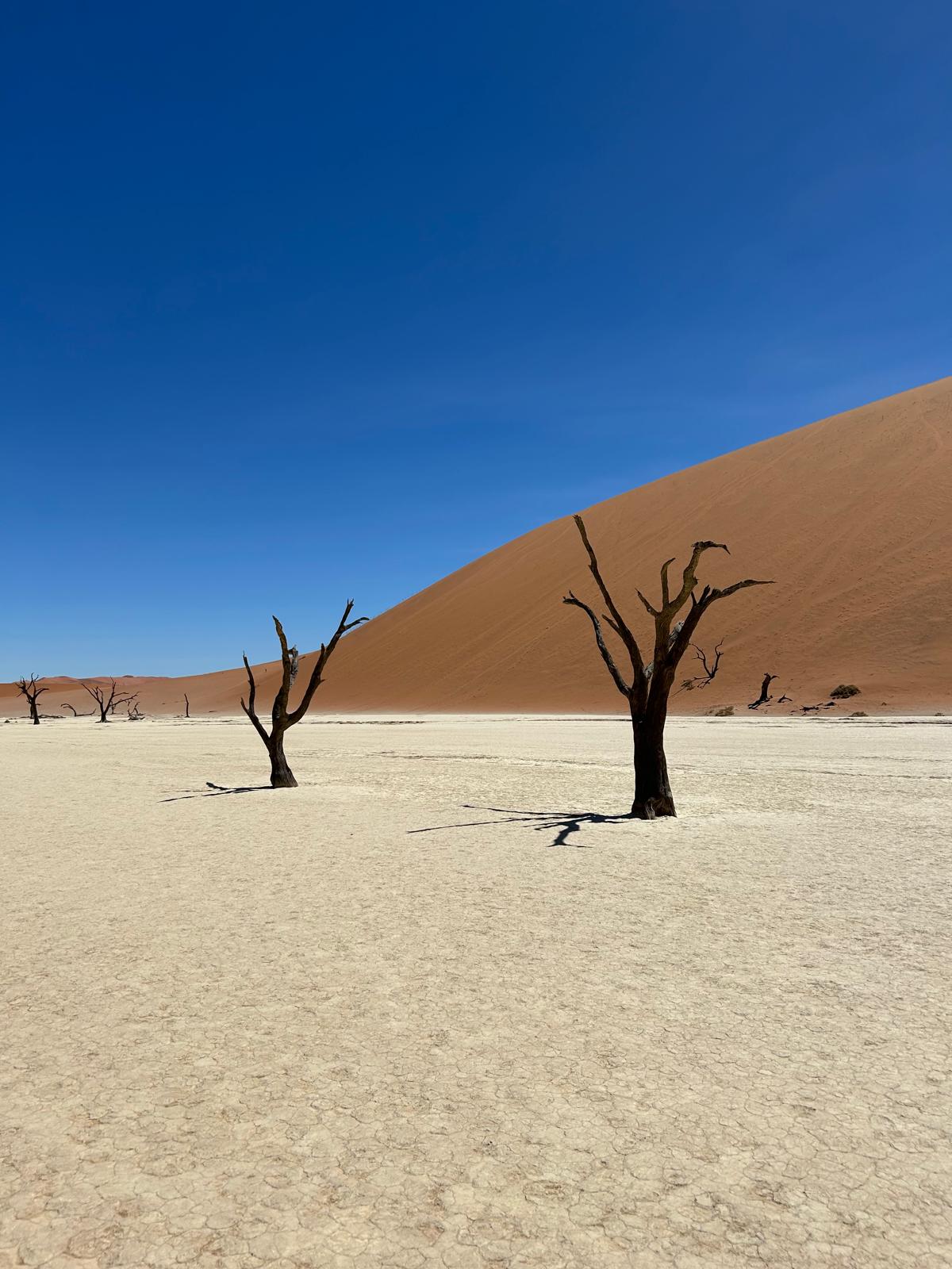 Sossusvlei — Dune 45 and Big Daddy