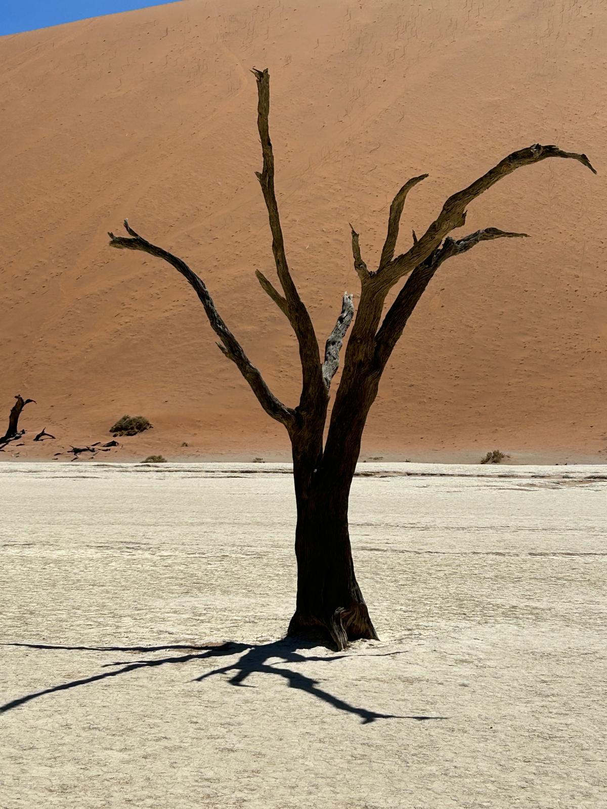 Sossusvlei — Dune 45 and Big Daddy