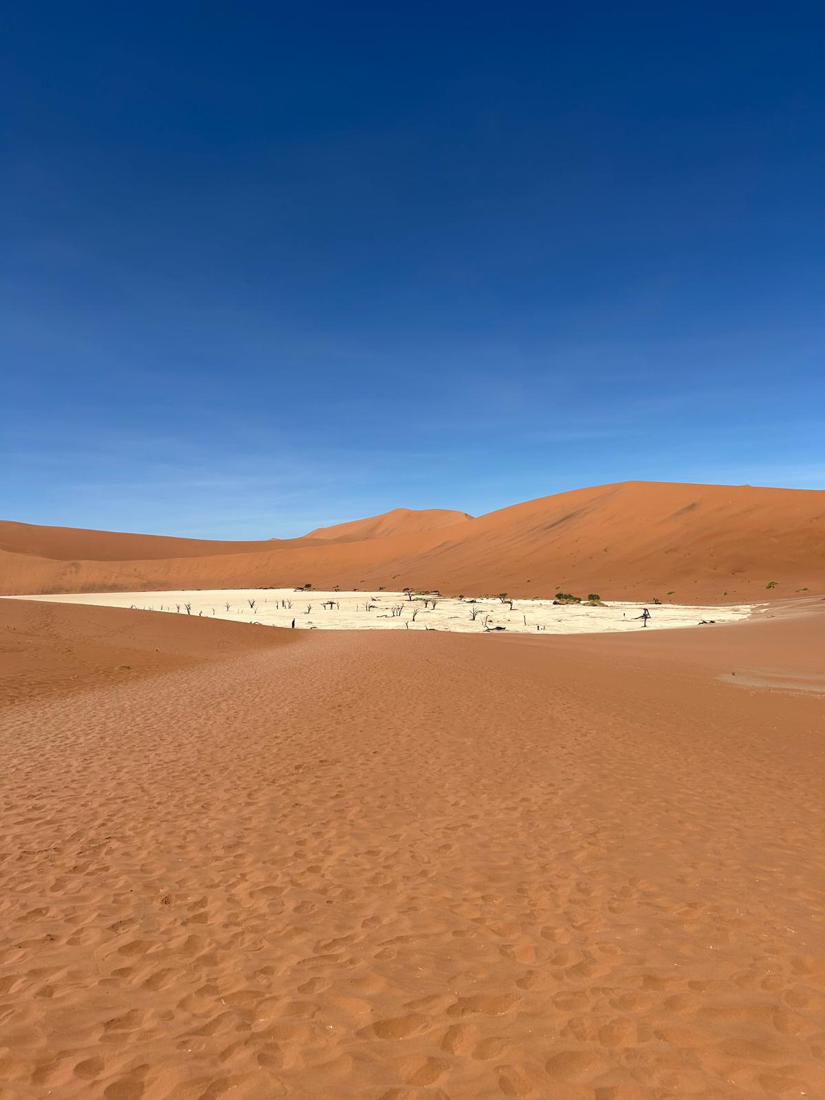 Sossusvlei — Dune 45 and Big Daddy