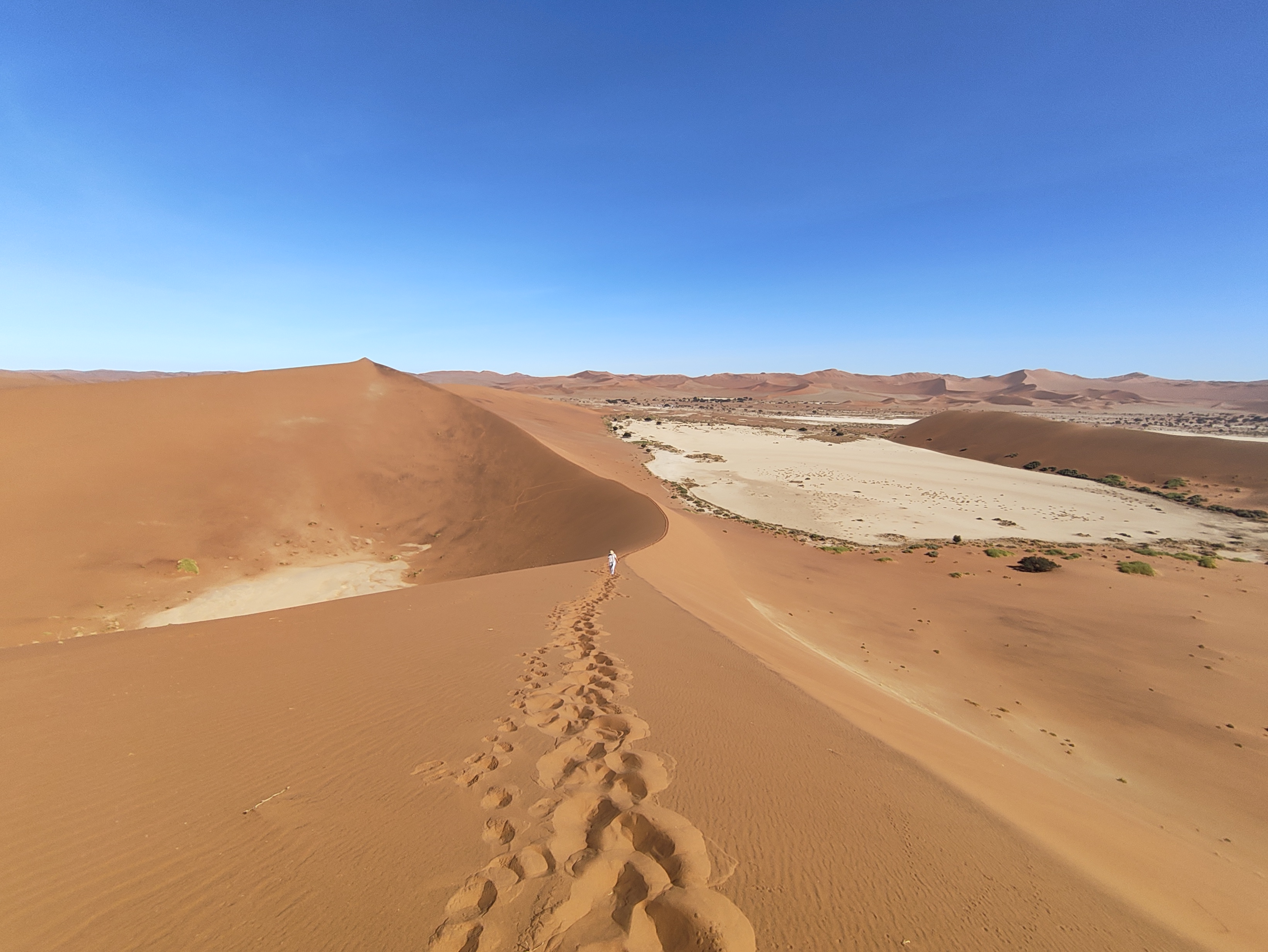 Sossusvlei — Dune 45 and Big Daddy