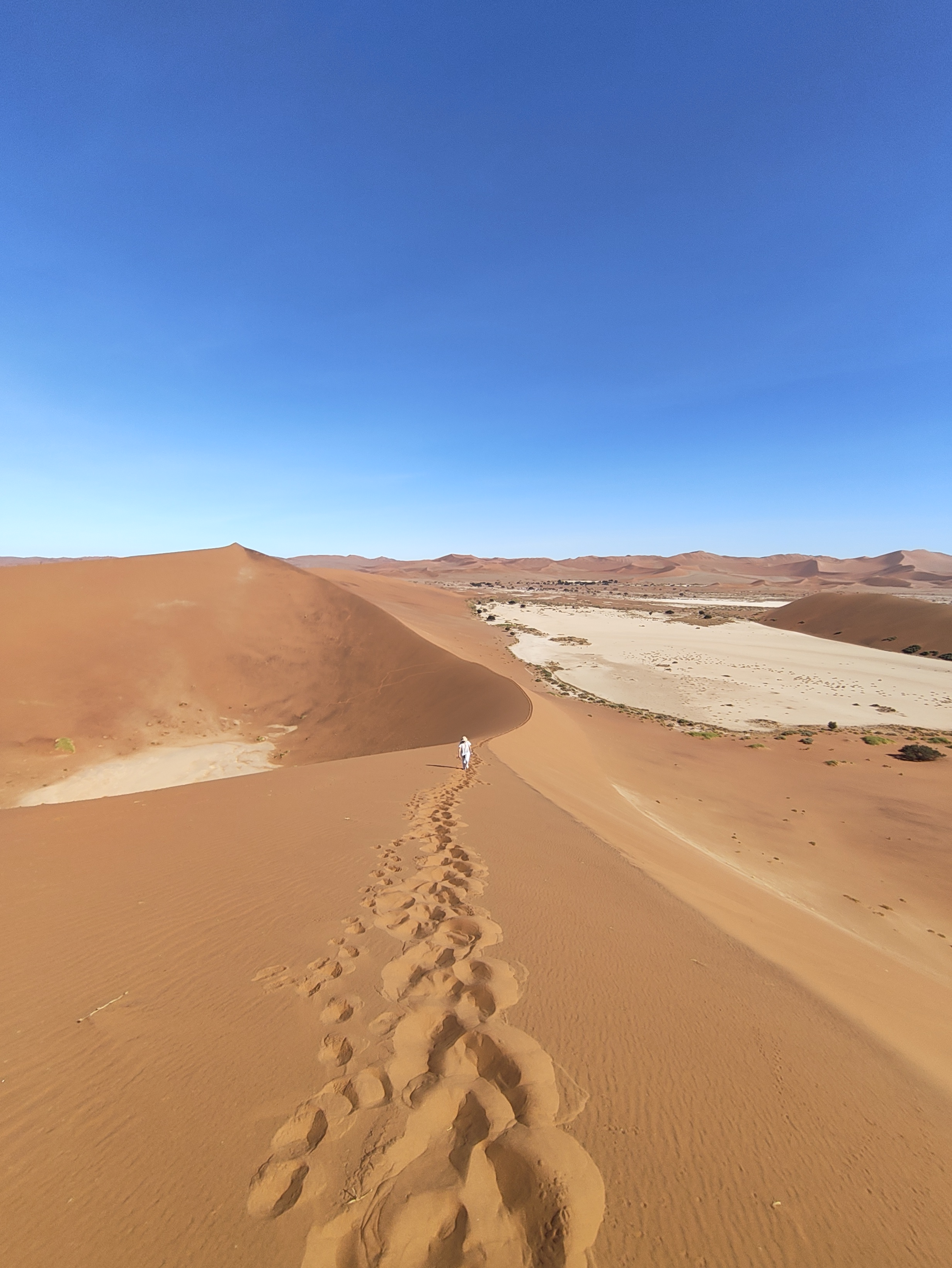 Sossusvlei — Dune 45 and Big Daddy