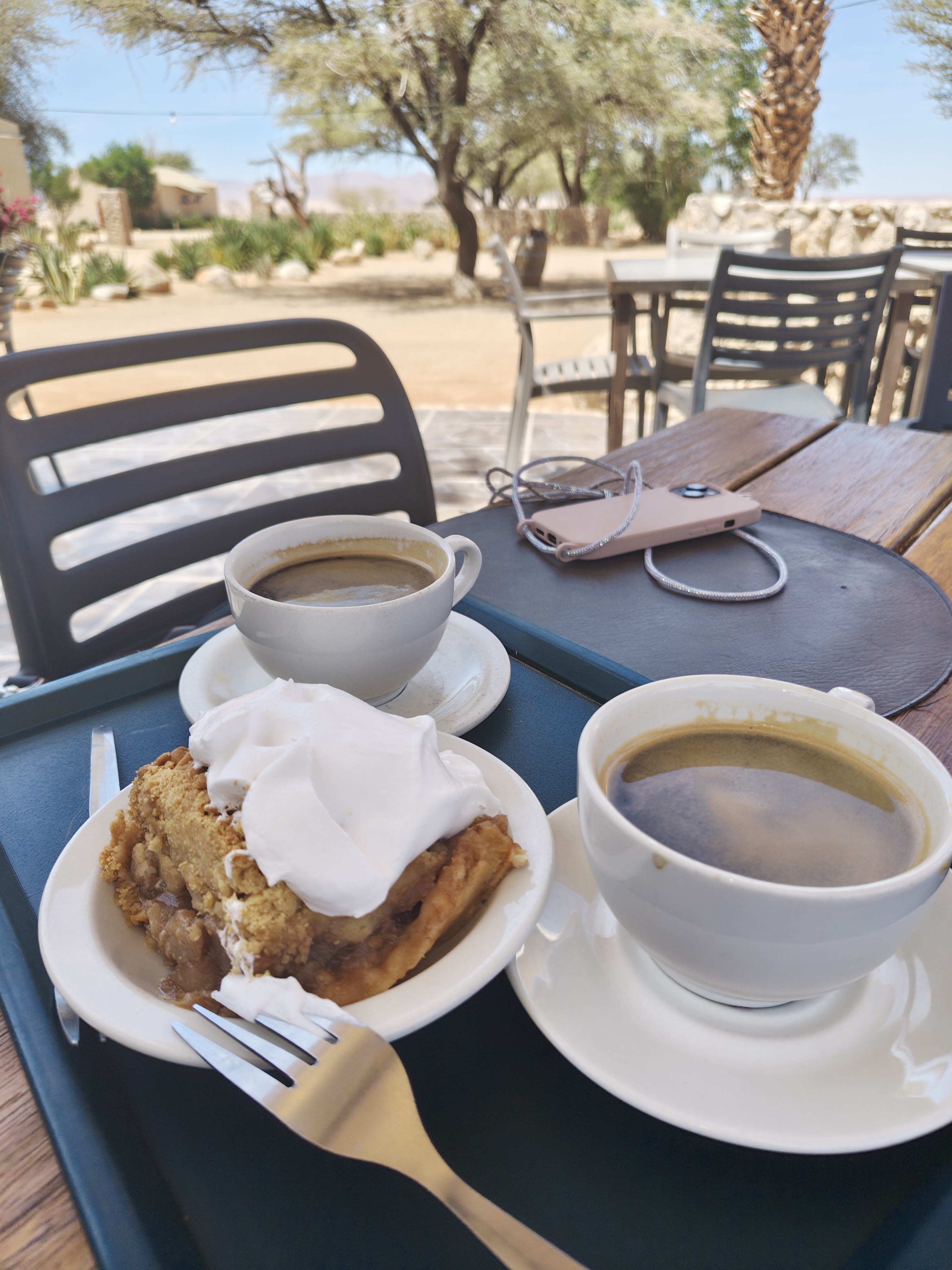 Sossusvlei → Swakopmund — Taking Care of the Three