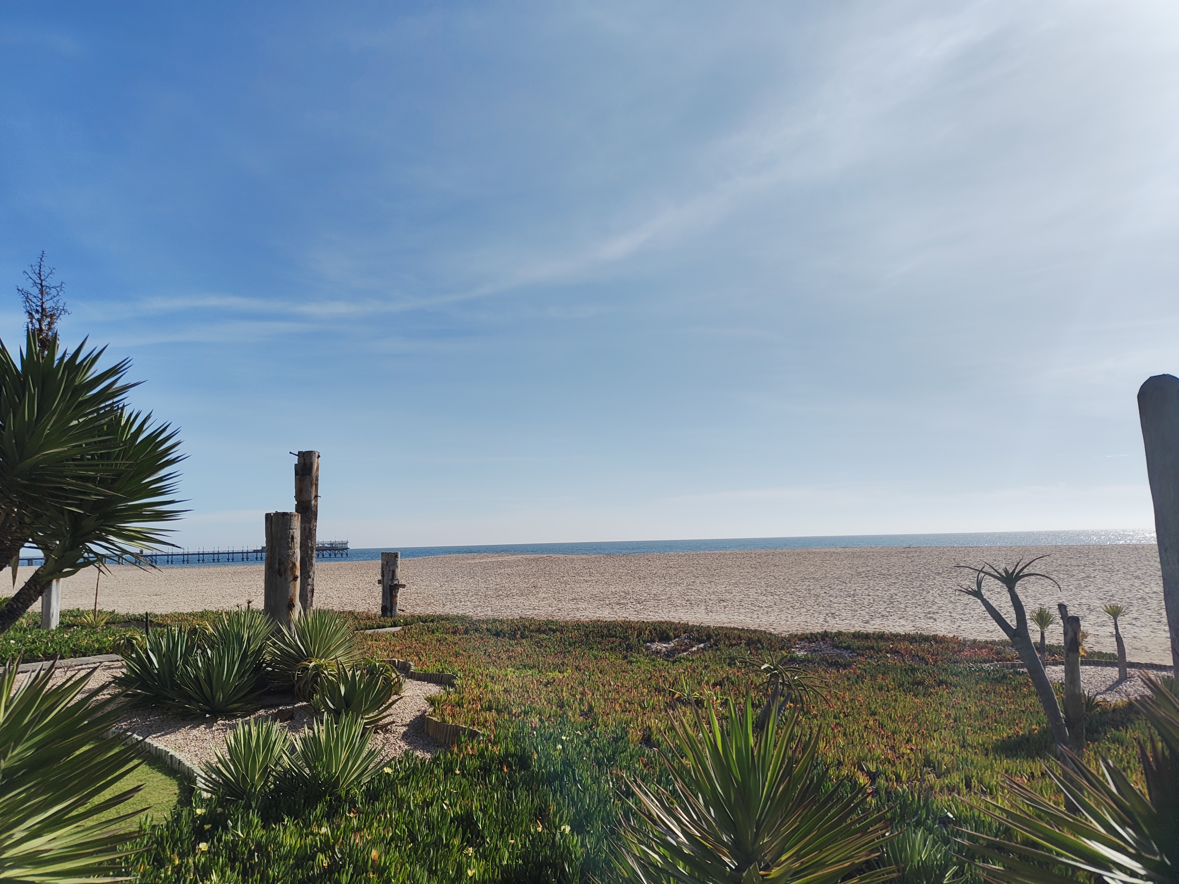 Sossusvlei → Swakopmund — Taking Care of the Three