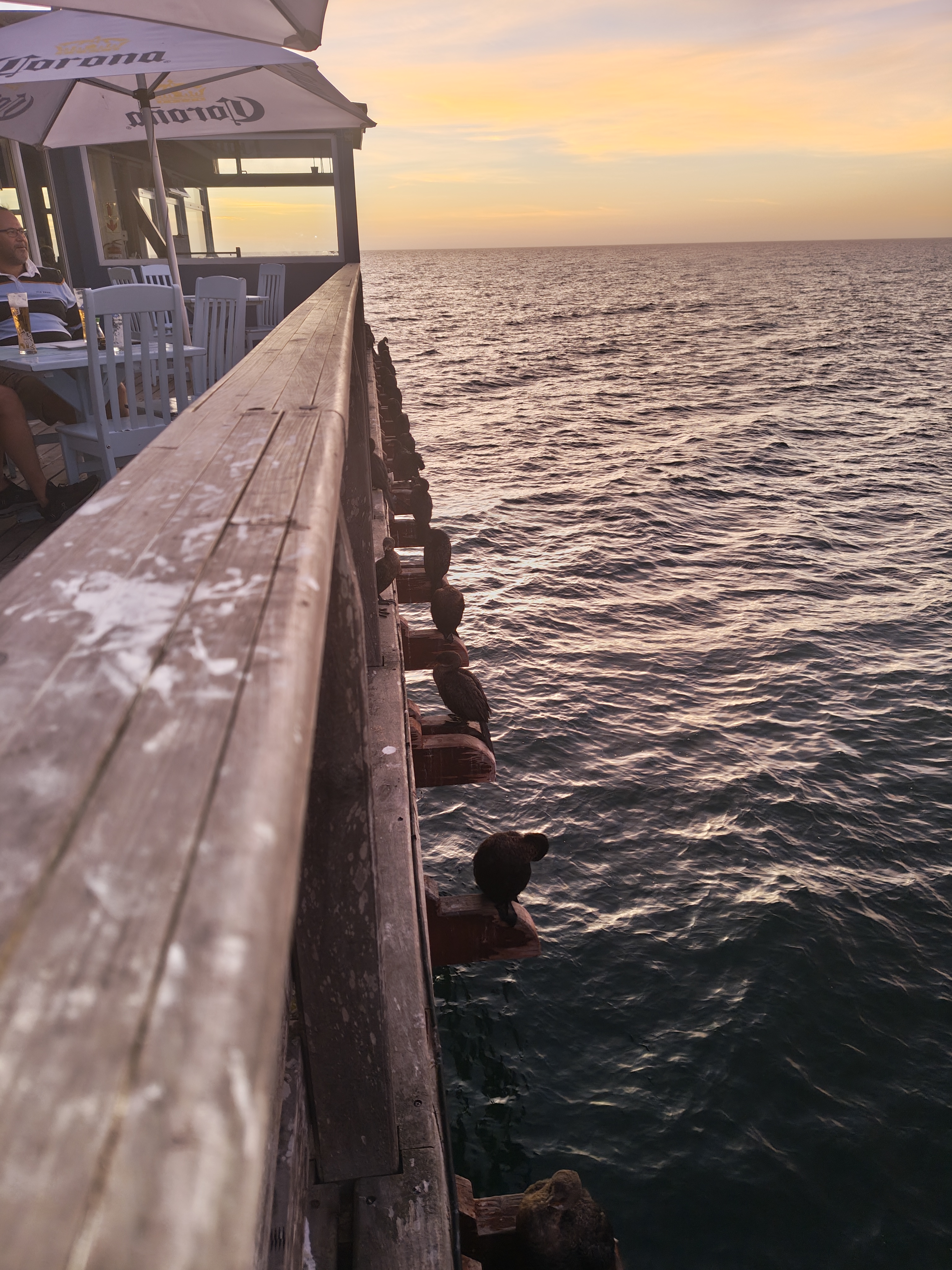 Sossusvlei → Swakopmund — Taking Care of the Three