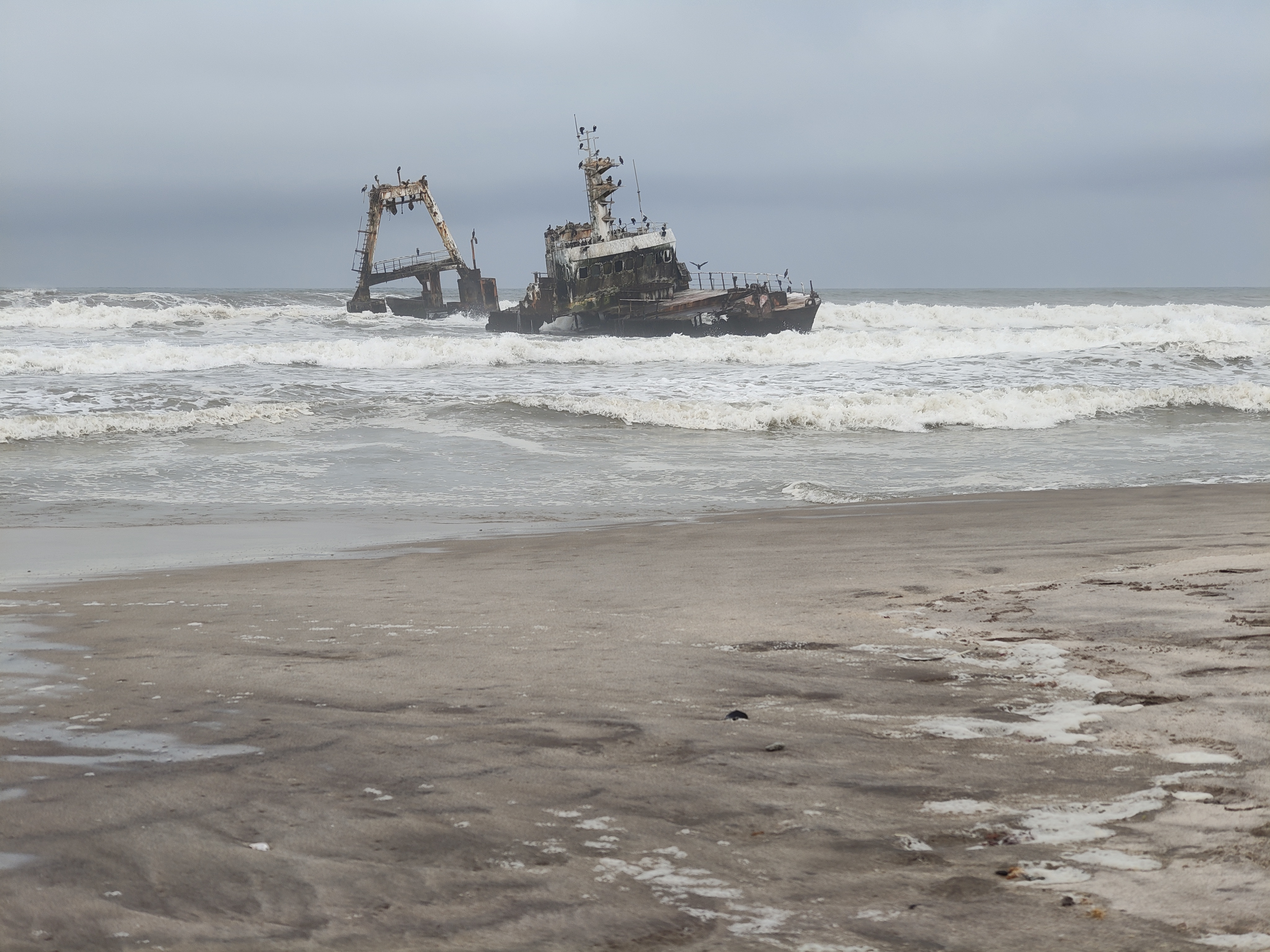 Swakopmund — Steering, Seals, and Damaraland