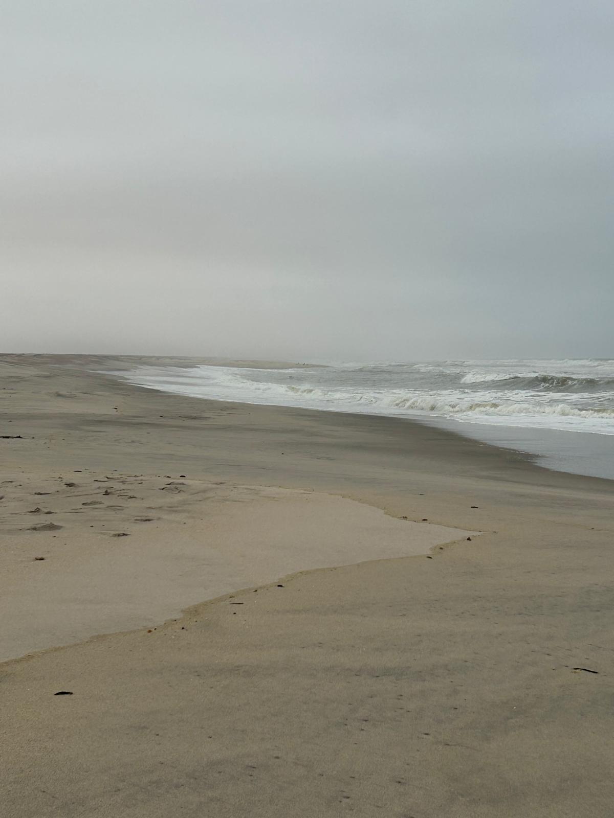 Swakopmund — Steering, Seals, and Damaraland