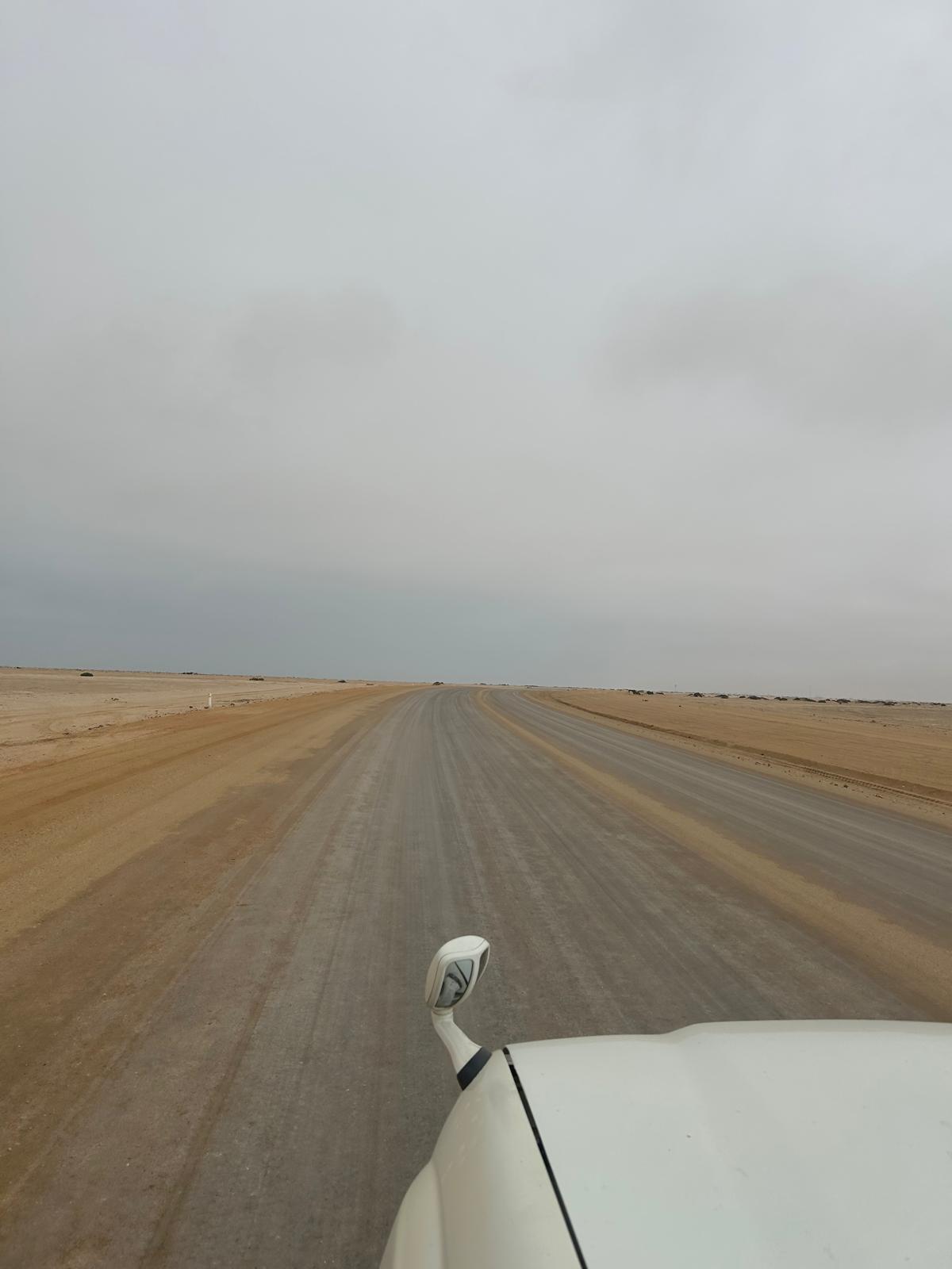 Swakopmund — Steering, Seals, and Damaraland