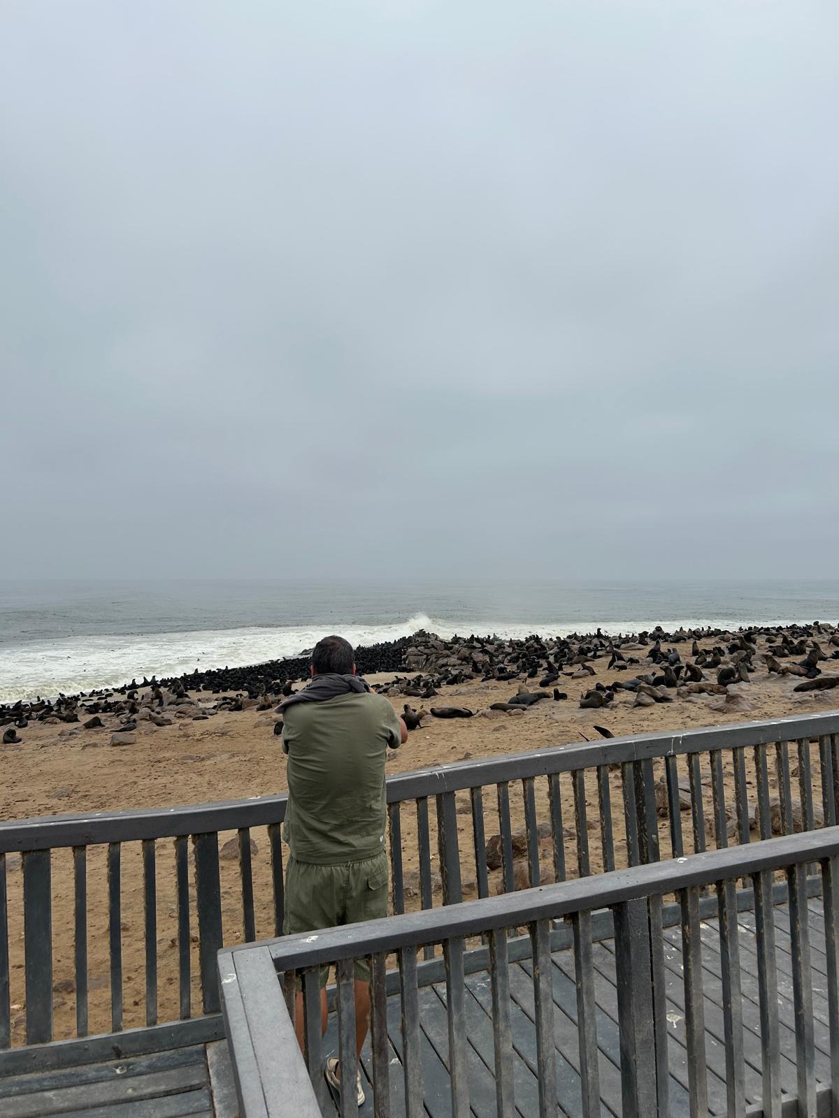 Swakopmund — Steering, Seals, and Damaraland