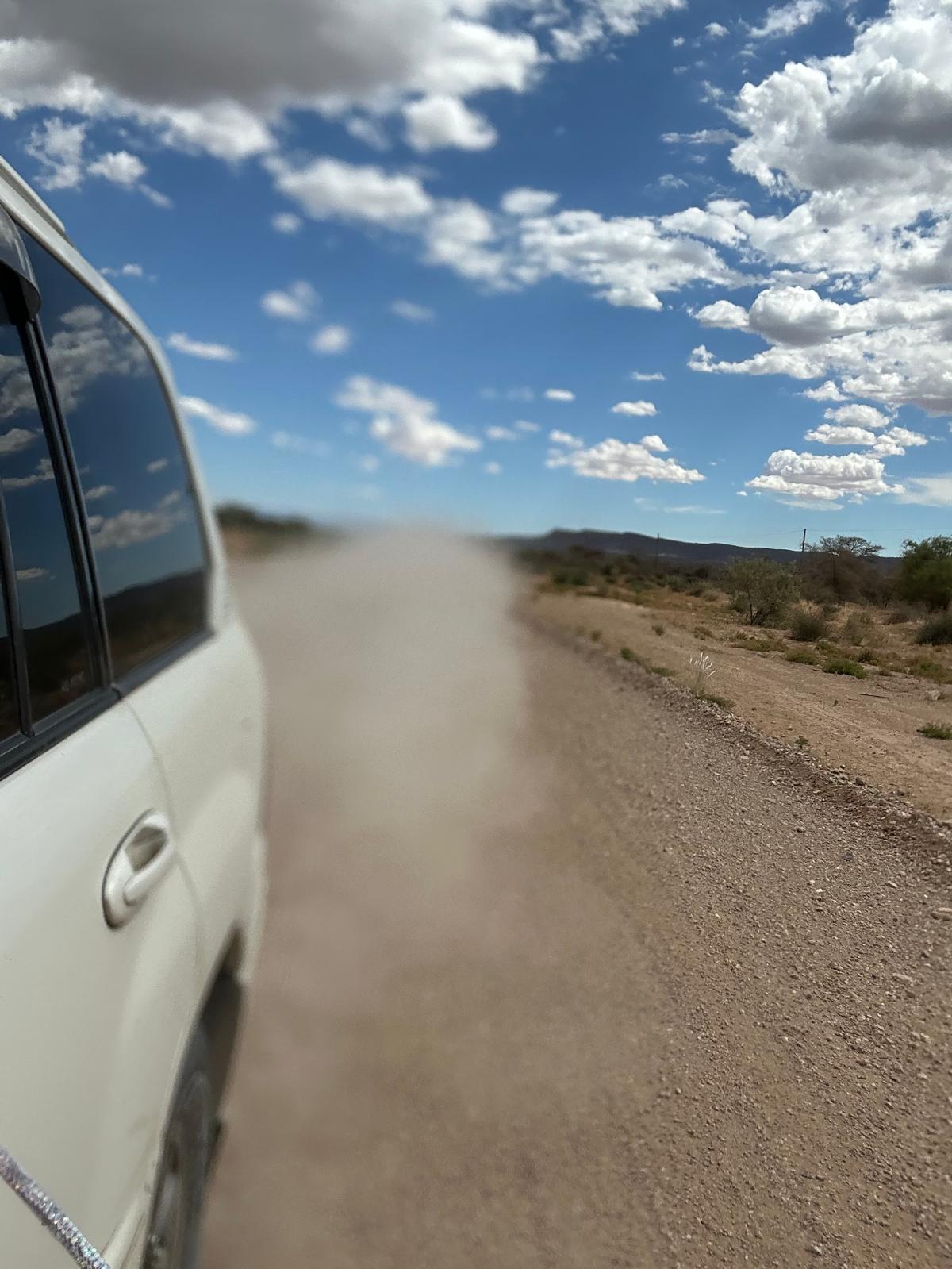 Swakopmund — Steering, Seals, and Damaraland