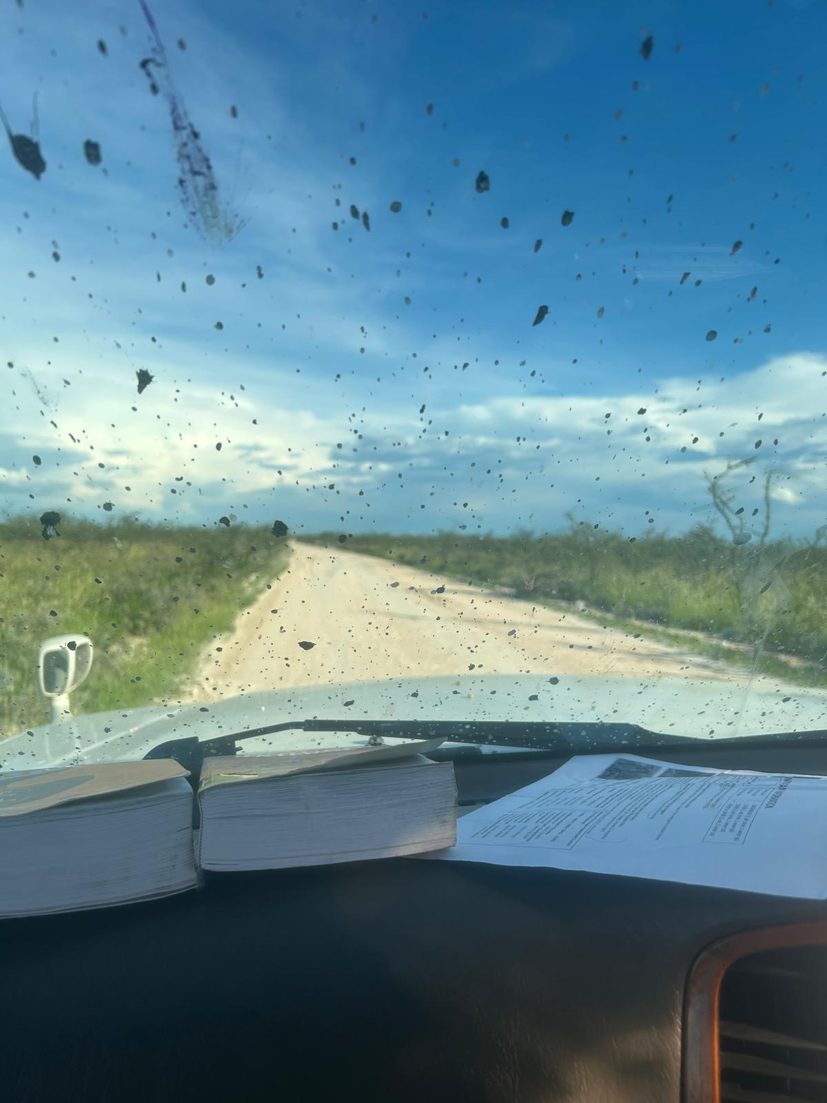 Khorixas → Etosha — Birthdays, Springbok, and a Storm