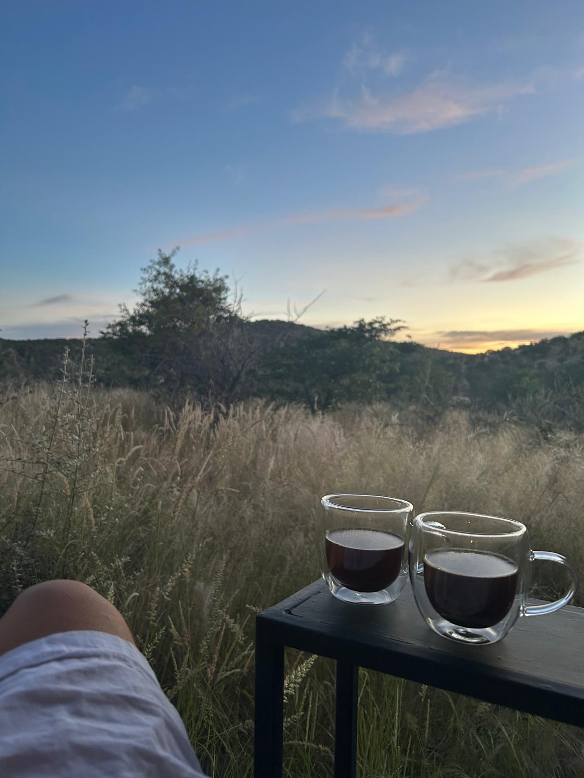 Khorixas → Etosha — Birthdays, Springbok, and a Storm