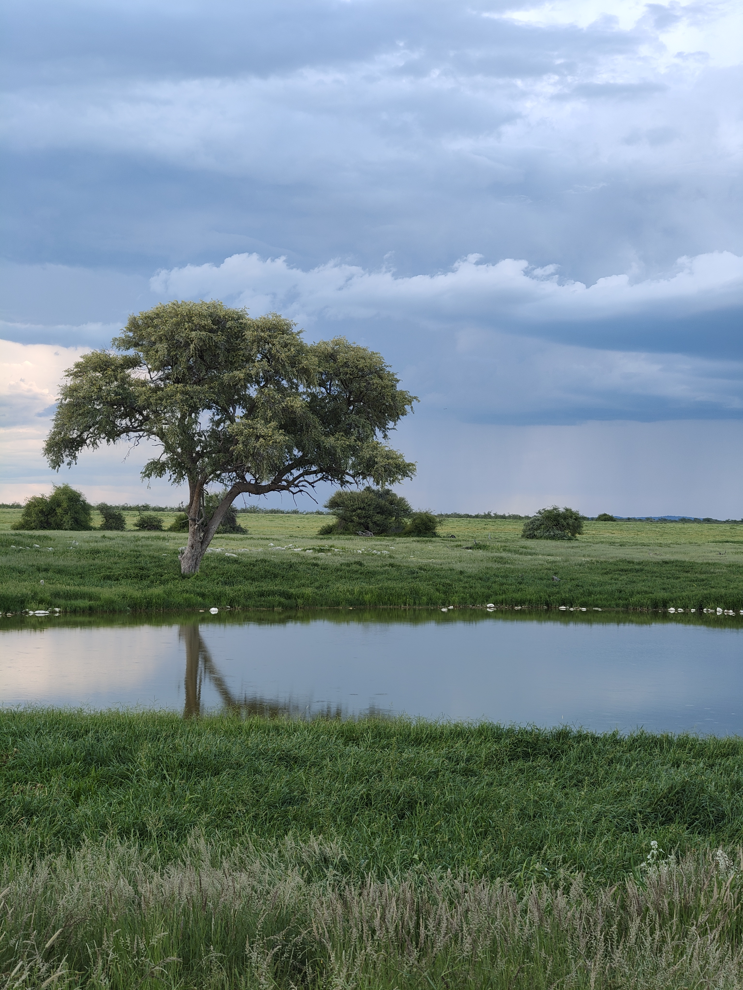 Khorixas → Etosha — Birthdays, Springbok, and a Storm
