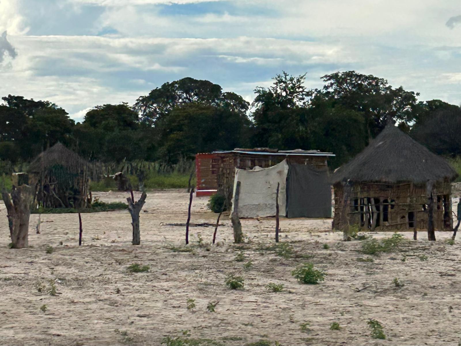 Etosha → Rundu — Lions, a Flooded Track, and the Okavango