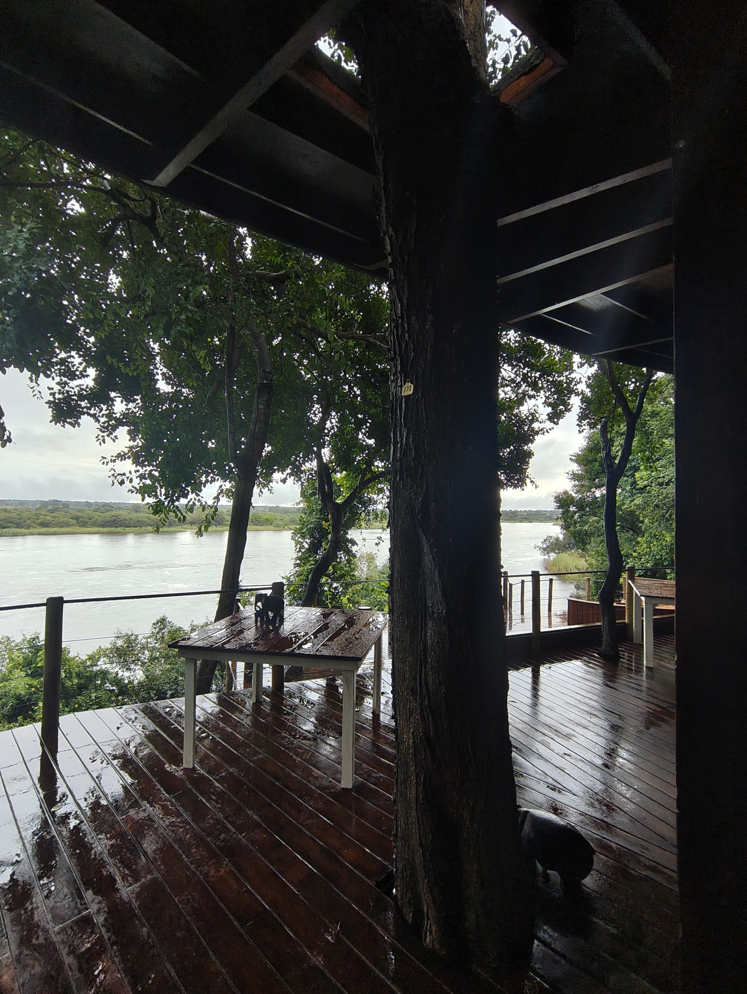 Okavango with a View of Angola — and 30 Years