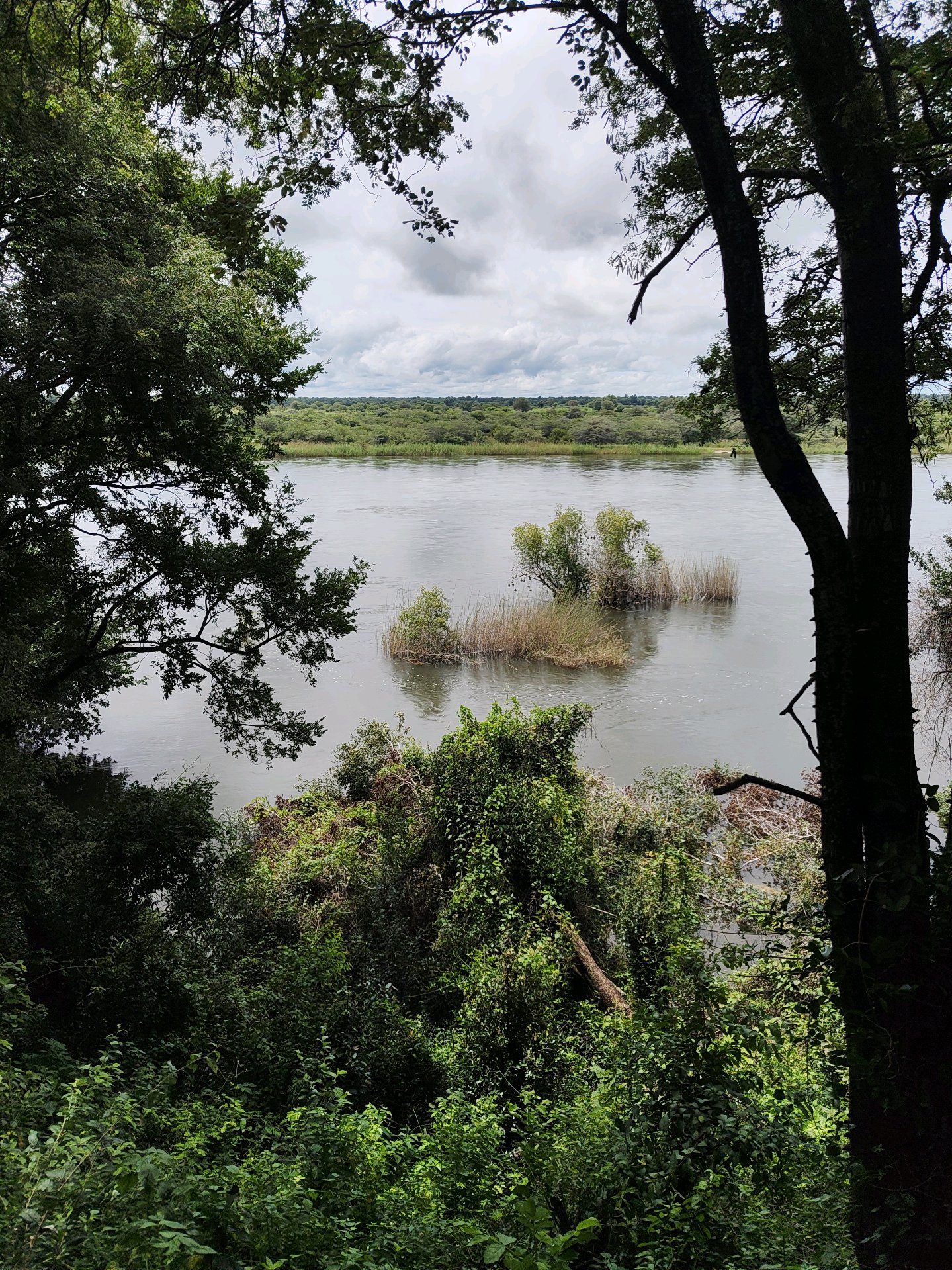 Okavango with a View of Angola — and 30 Years