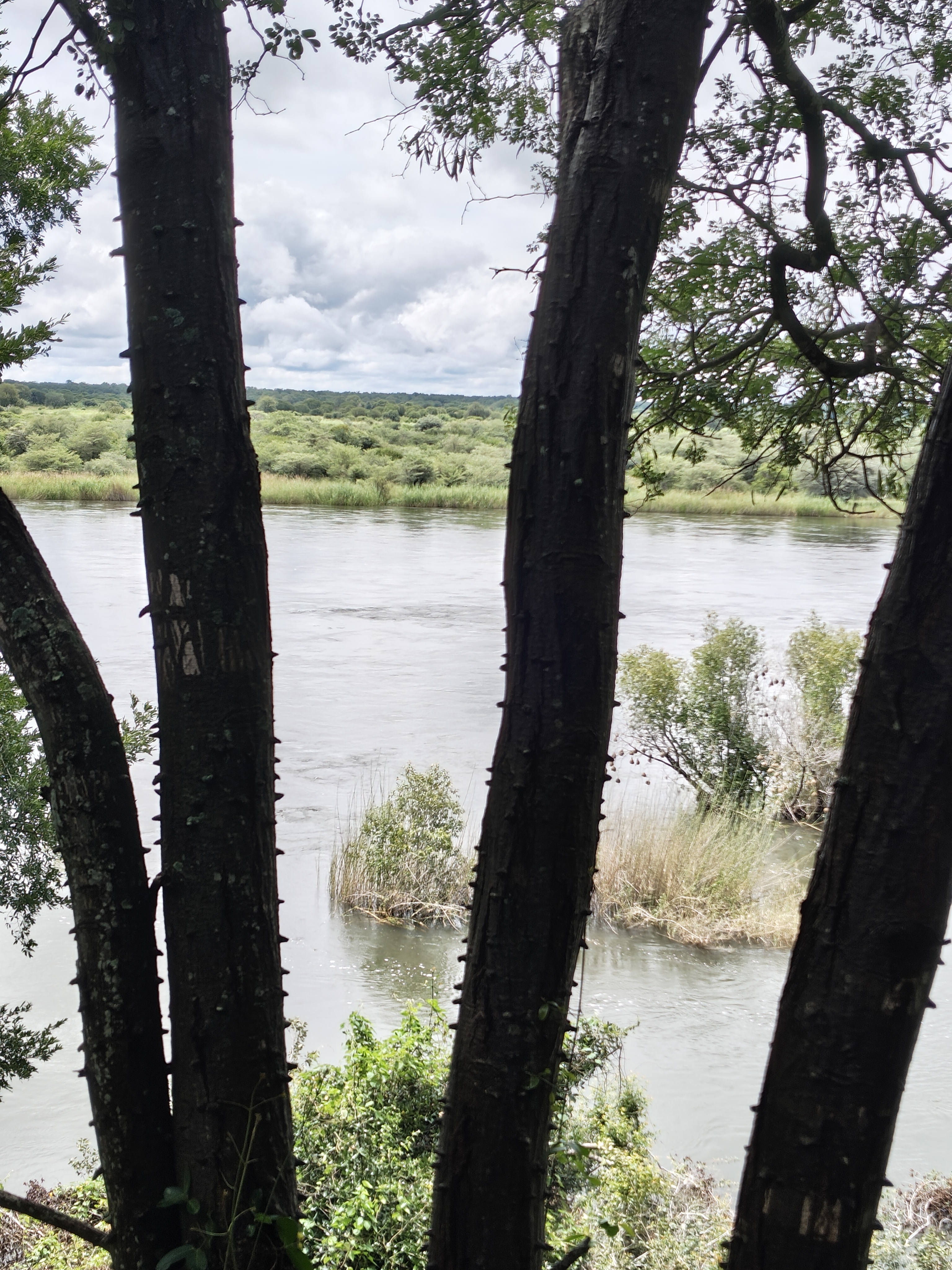 Okavango with a View of Angola — and 30 Years