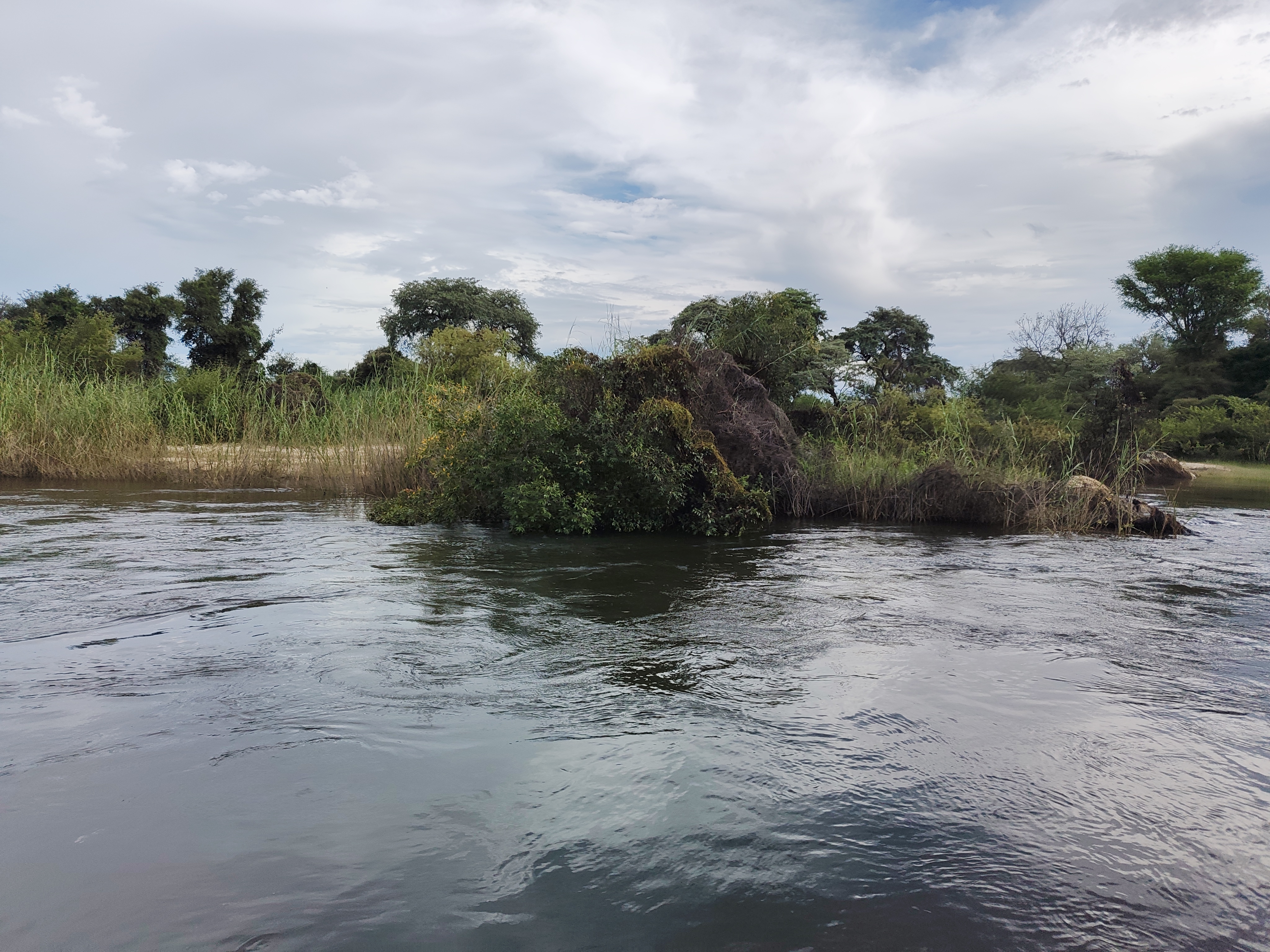 Okavango with a View of Angola — and 30 Years