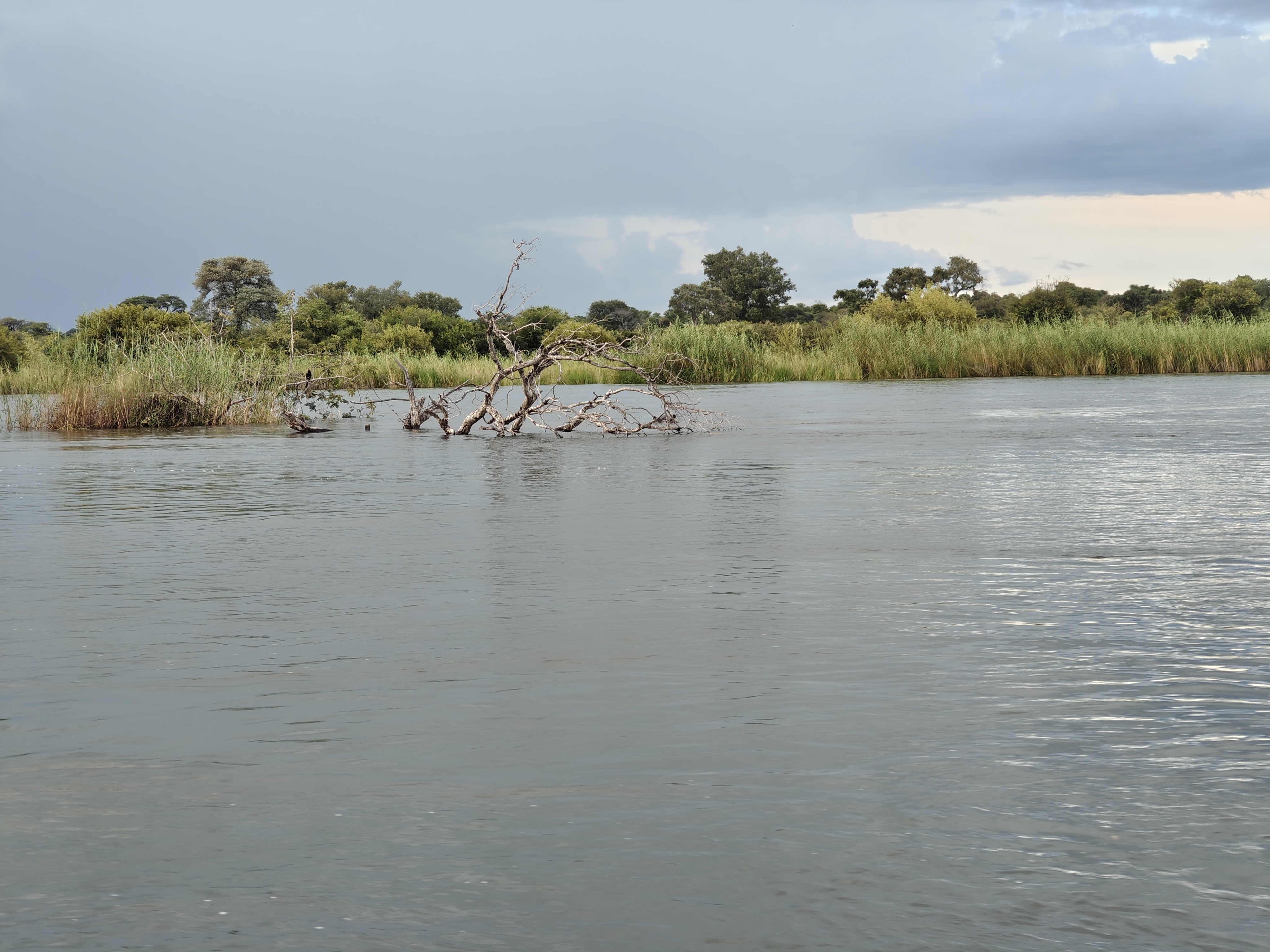 Okavango with a View of Angola — and 30 Years