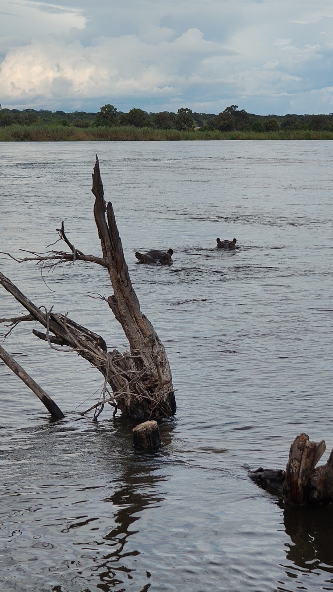 Okavango with a View of Angola — and 30 Years