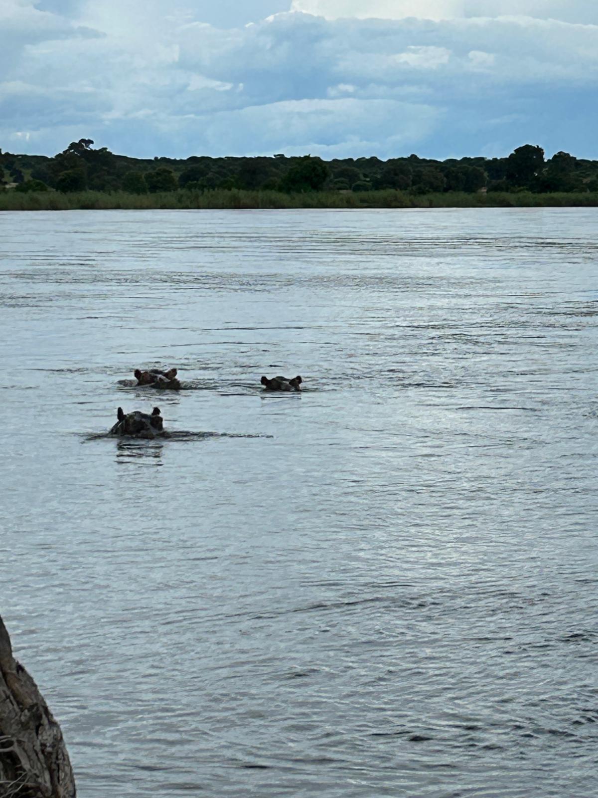 Okavango with a View of Angola — and 30 Years