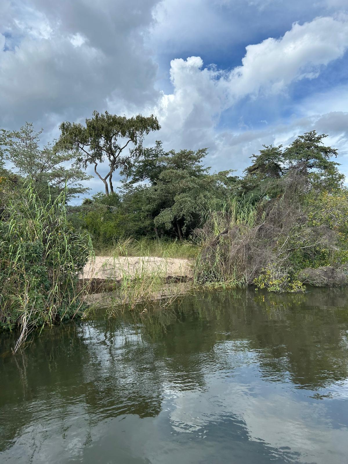 Okavango with a View of Angola — and 30 Years