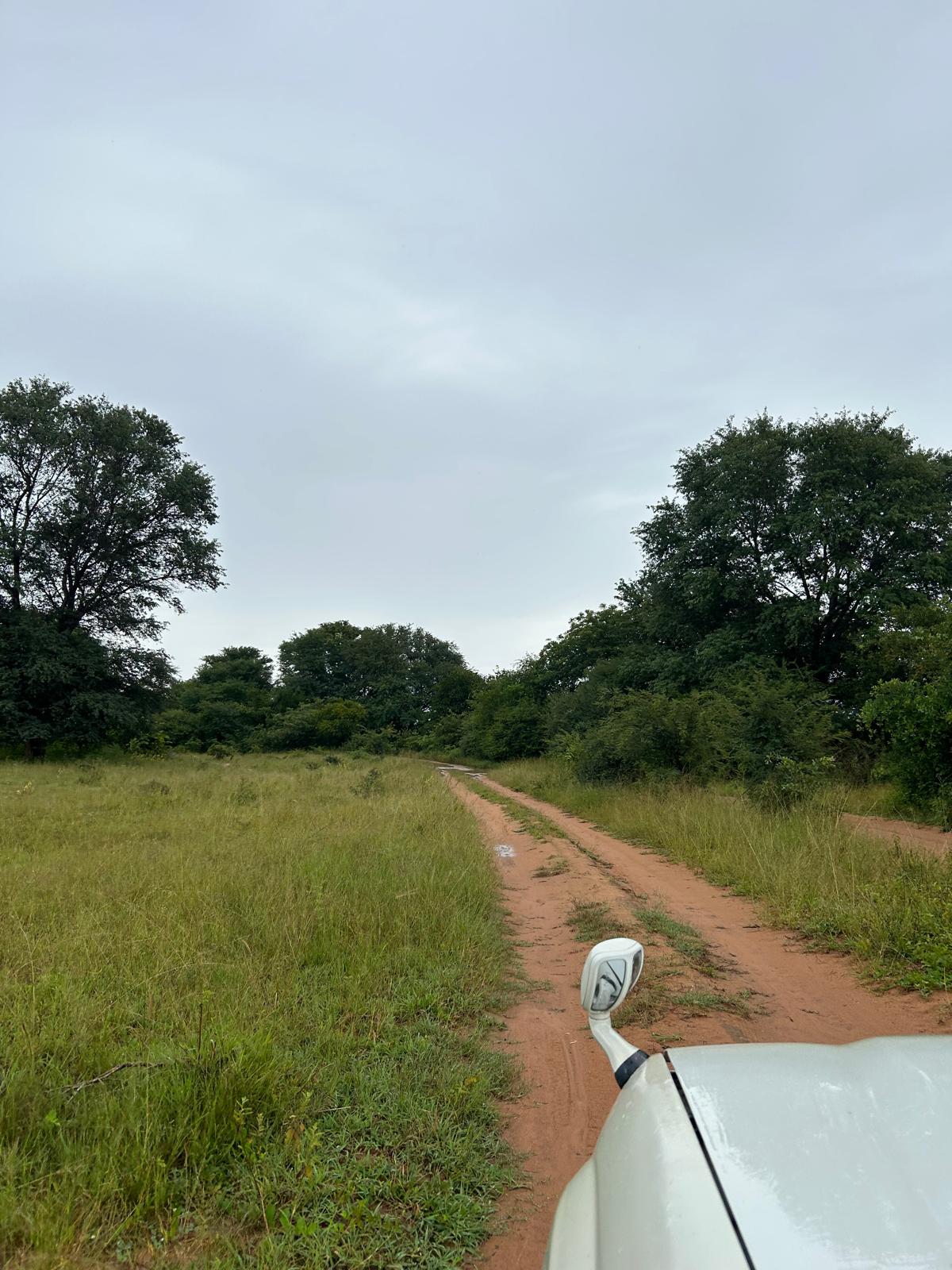 Okavango with a View of Angola — and 30 Years