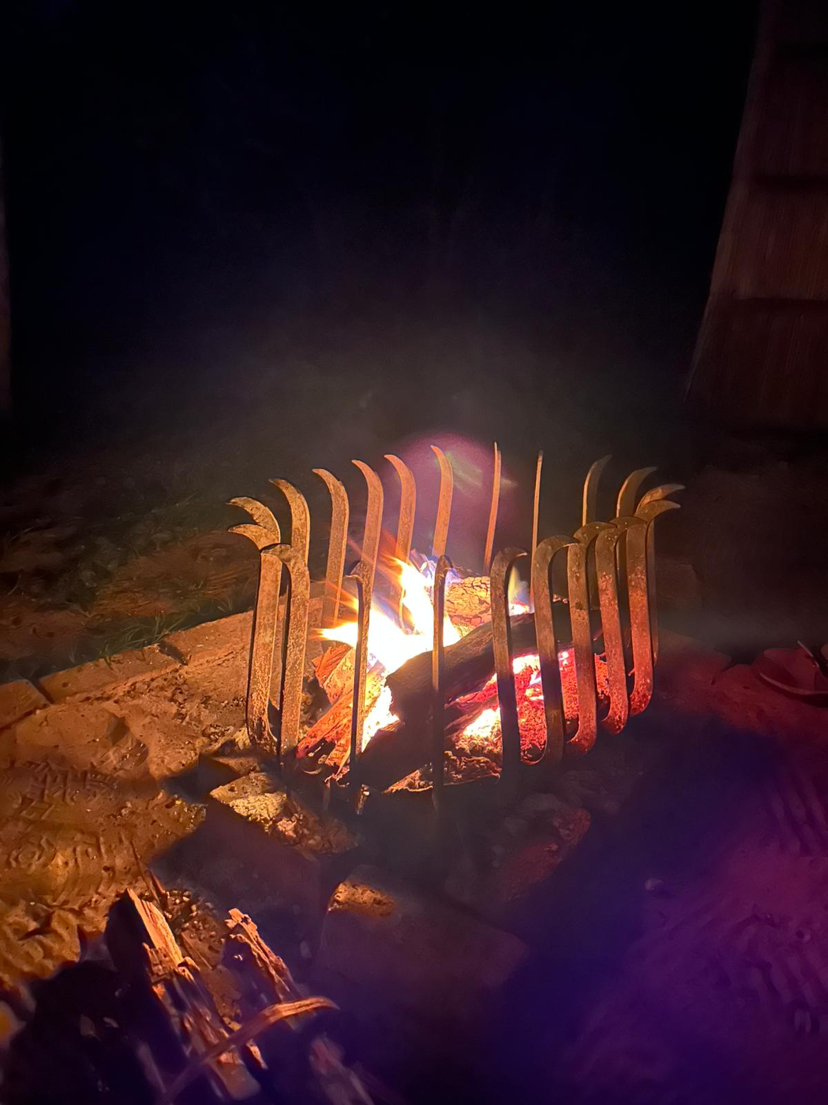 Mahango, the Cheetah, and Kazondwe Camp