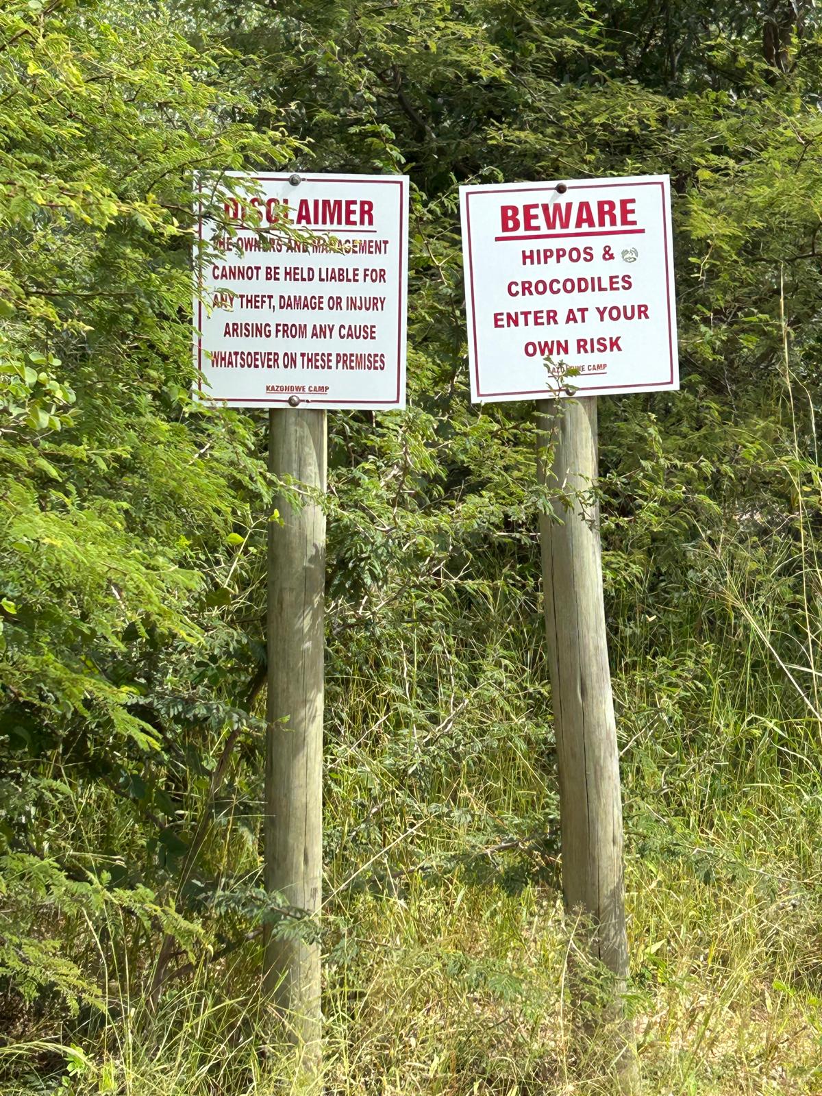 Mahango, the Cheetah, and Kazondwe Camp