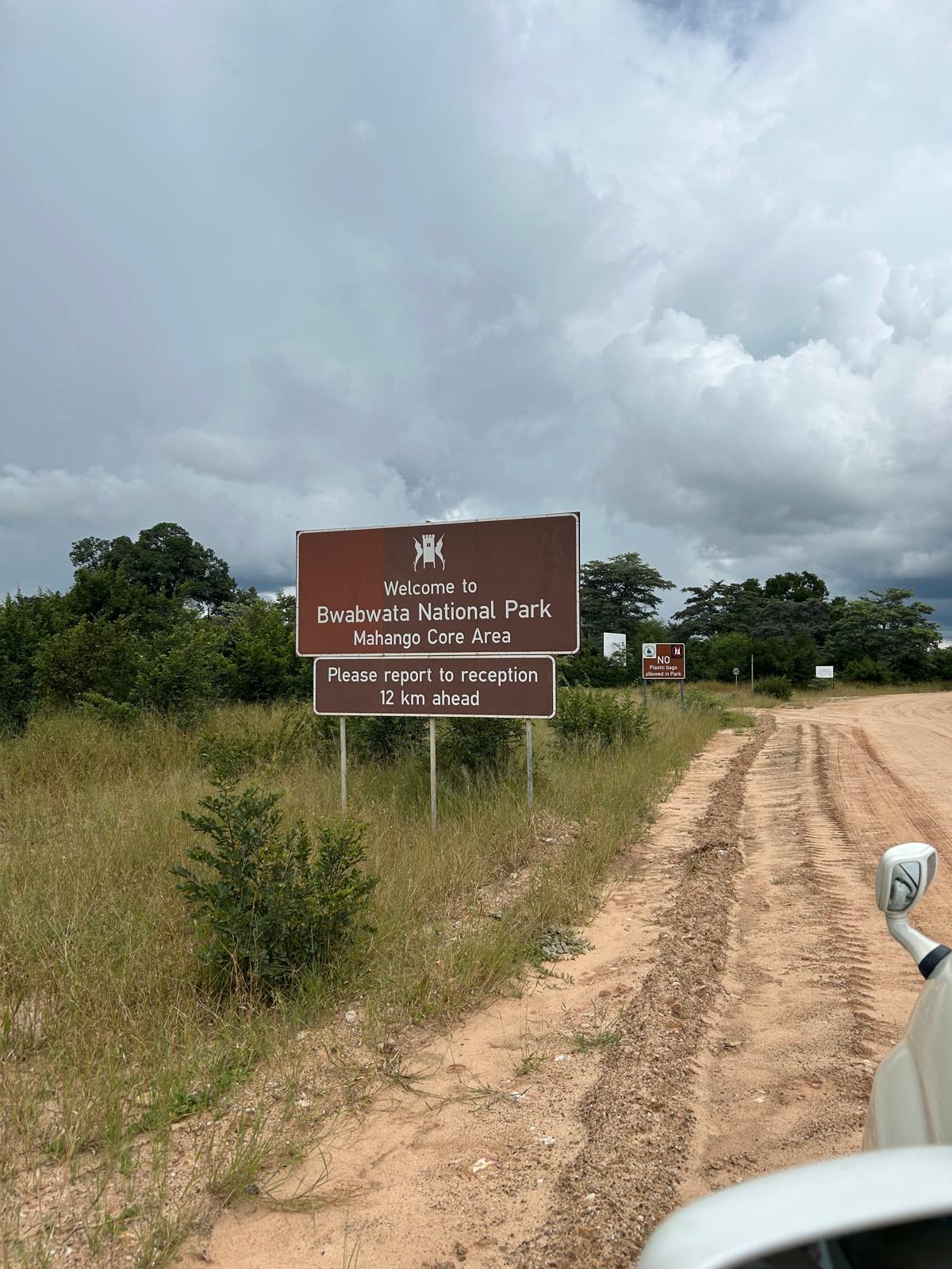 Mahango, the Cheetah, and Kazondwe Camp