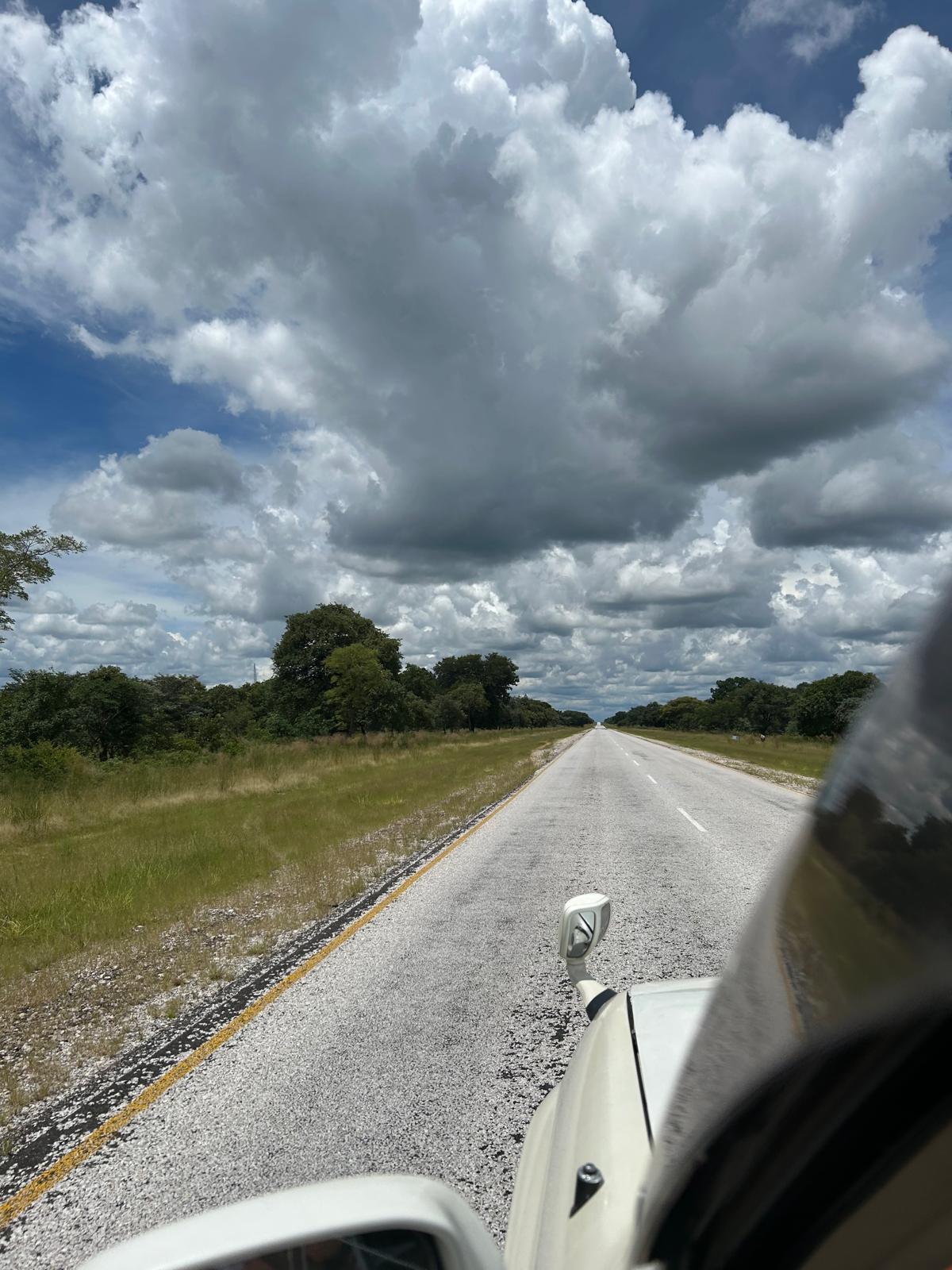 Mahango, the Cheetah, and Kazondwe Camp