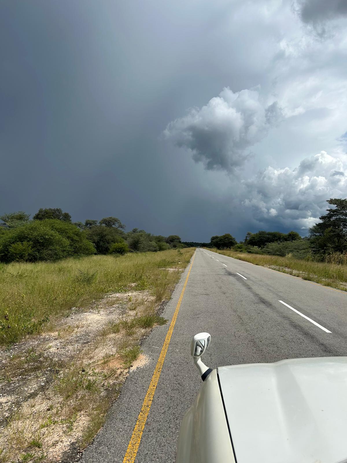 Mahango, the Cheetah, and Kazondwe Camp
