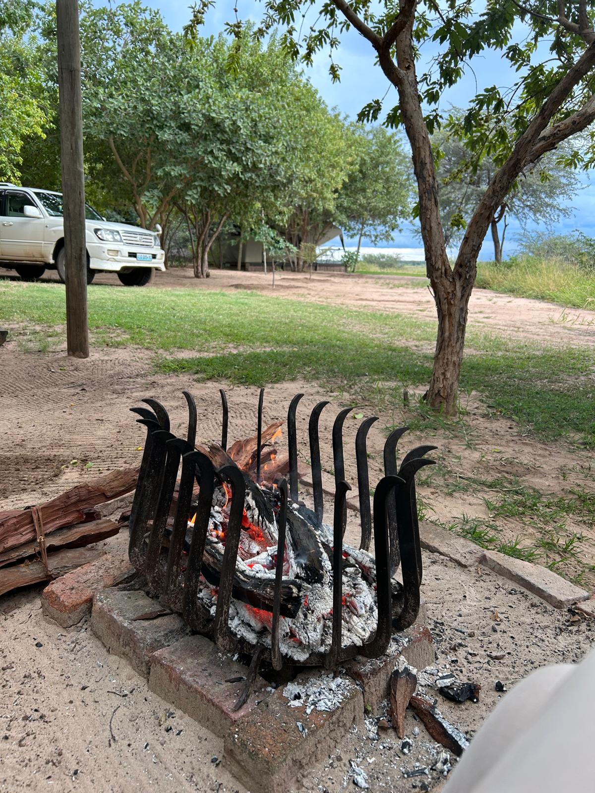 Mahango, the Cheetah, and Kazondwe Camp