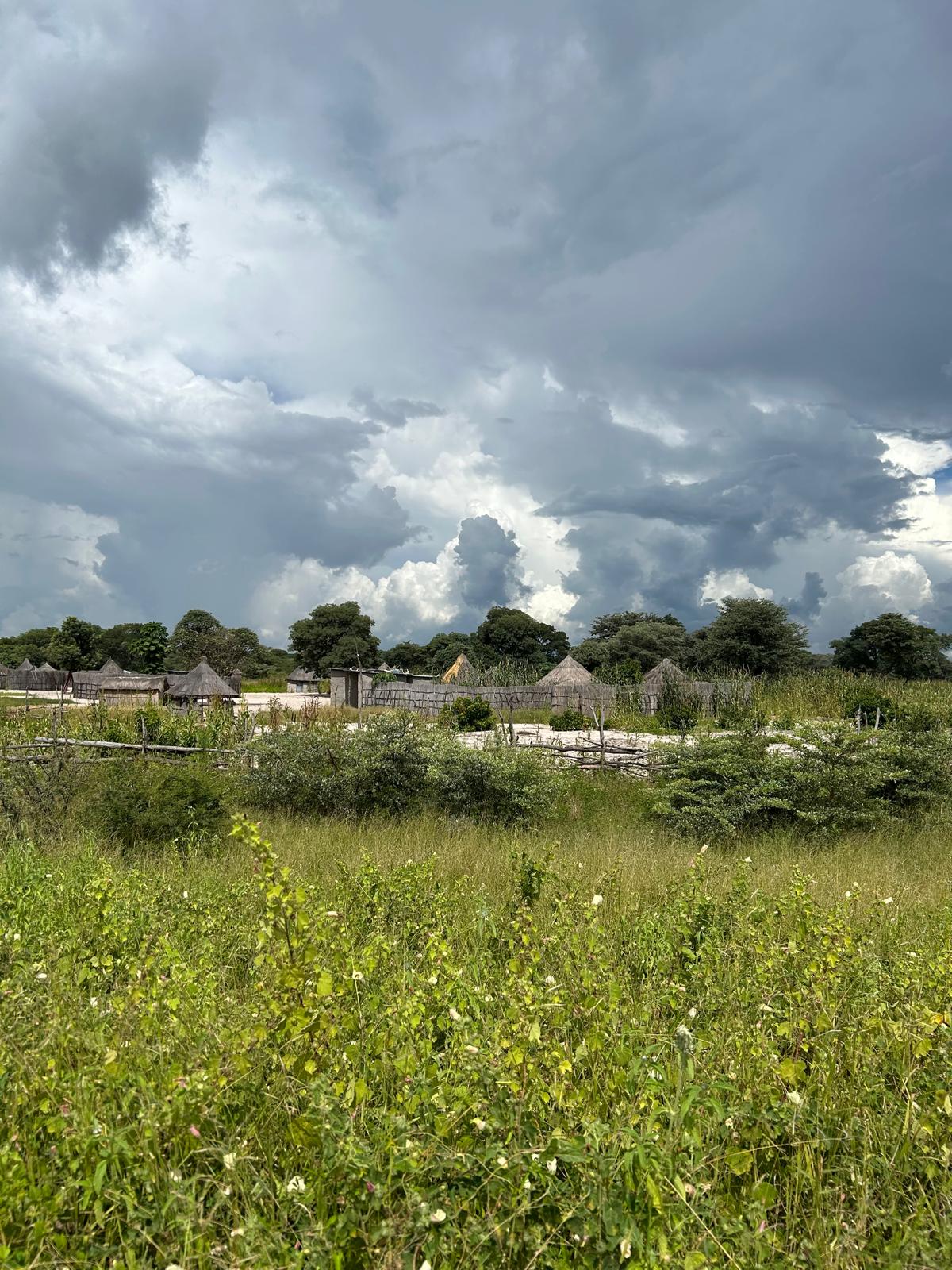 Mahango, the Cheetah, and Kazondwe Camp